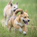 광교중앙로248번길 이미지