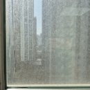 제일베스트캠핑카(주) | 대구외창청소,오페라삼정그린코아더베스트 외창청소후기