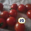 방주살롱 | 마음 맞는 블로그 있으면 당연히 봐야겠지