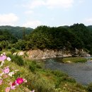 금산이네 이미지