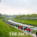 당진3동 이팝나무 이미지