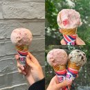 배스킨라빈스 변우석 베라 5월 이달의 맛 봄날의 곰을 좋아하세요 신메뉴 후기
