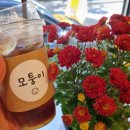 호평1통 이미지