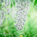 오창초 가좌분교 이미지