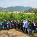 고창군청 이미지