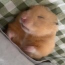 (주)서광 | 뭇별을 태우는 서광