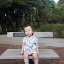 영아내사시 1년간 치료기