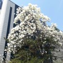 다시,봄 이미지