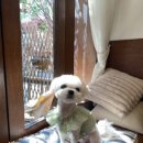 몽리단