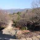 갈맷길(7코스) 이미지