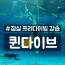 퀸 | [잠실 프리다이빙 강습] 자격증 교육 퀸다이브 후기
