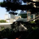 소명 행정사사무소 이미지