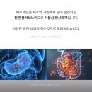 다윈약국 티스토리