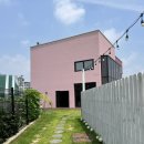 눈이부시개 이미지