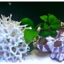 새갈공원 이미지