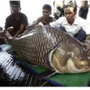 조은연리지 이미지