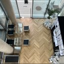 오퍼시티(OPACITY) 이미지