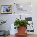 아침을 여는 한의원 이미지