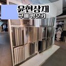 윤현상재 강남 쇼룸 방문 구매 후기