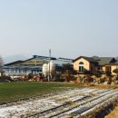 현승목장 이미지