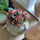 담잔느 | 망미동 브런치맛집 담잔느 내돈내산 솔직후기