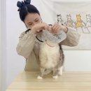 재이미