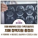 분당구보건소 치매안심센터 | 치매 통합지원 서비스