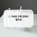 몸튼튼 근력 스트레칭 이미지