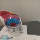 연세바른안과의원 이미지