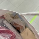 250401-03 오사카/교토 여행🍙 (기요미즈데라/USJ/야끼니꾸)