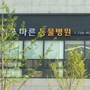 경희궁바른동물병원 이미지