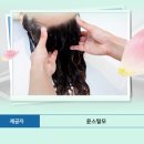 월계지구대 | #월계역탈모#강남 삼성동 선릉역탈모전문 윤스탈모 두피관리-동아프리카지구대