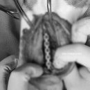 인천 24시 스카이동물메디컬센터 이미지