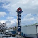 모녀청과 이미지