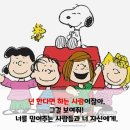 써밋태권스쿨 이미지