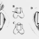 쿨펫동물병원 이미지