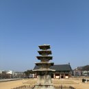 삼천통상 | 부여 여행 2일차 일정 (정림사지 5층석탑, 장원막국수, 낙화암, 무량사)