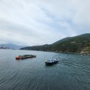 팔랑포마을 이미지