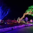멜로디펜션 - 용인시 처인구 유림로227번길 23 | 멜로디펜션