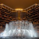 쇼펠리스 이미지