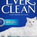 에버크린 이미지