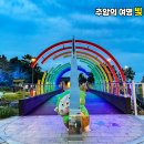 동해시-19 티스토리