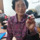 경마경로당 이미지