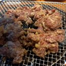 조선갈매기