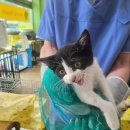 낙동가축병원 이미지