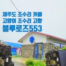 핑크로즈553 이미지