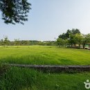 봉골목장 브런치