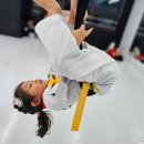 품 태권도 이미지