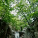 만석길농장 이미지