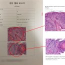 한 동물병원 이미지